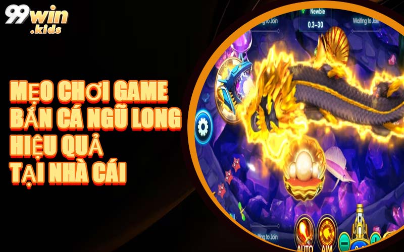 Mẹo Chơi Game Bắn Cá Ngũ Long Hiệu Quả Tại Nhà Cái